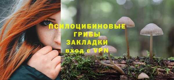 трава Лабытнанги