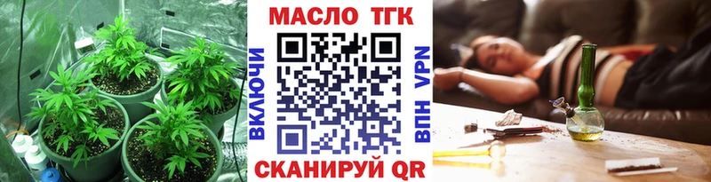 Купить закладки  Яранск  ТГК концентрат 